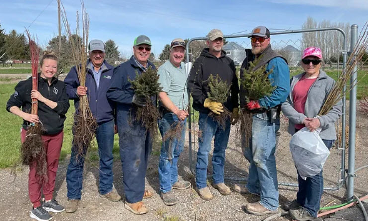 Tree Sale
