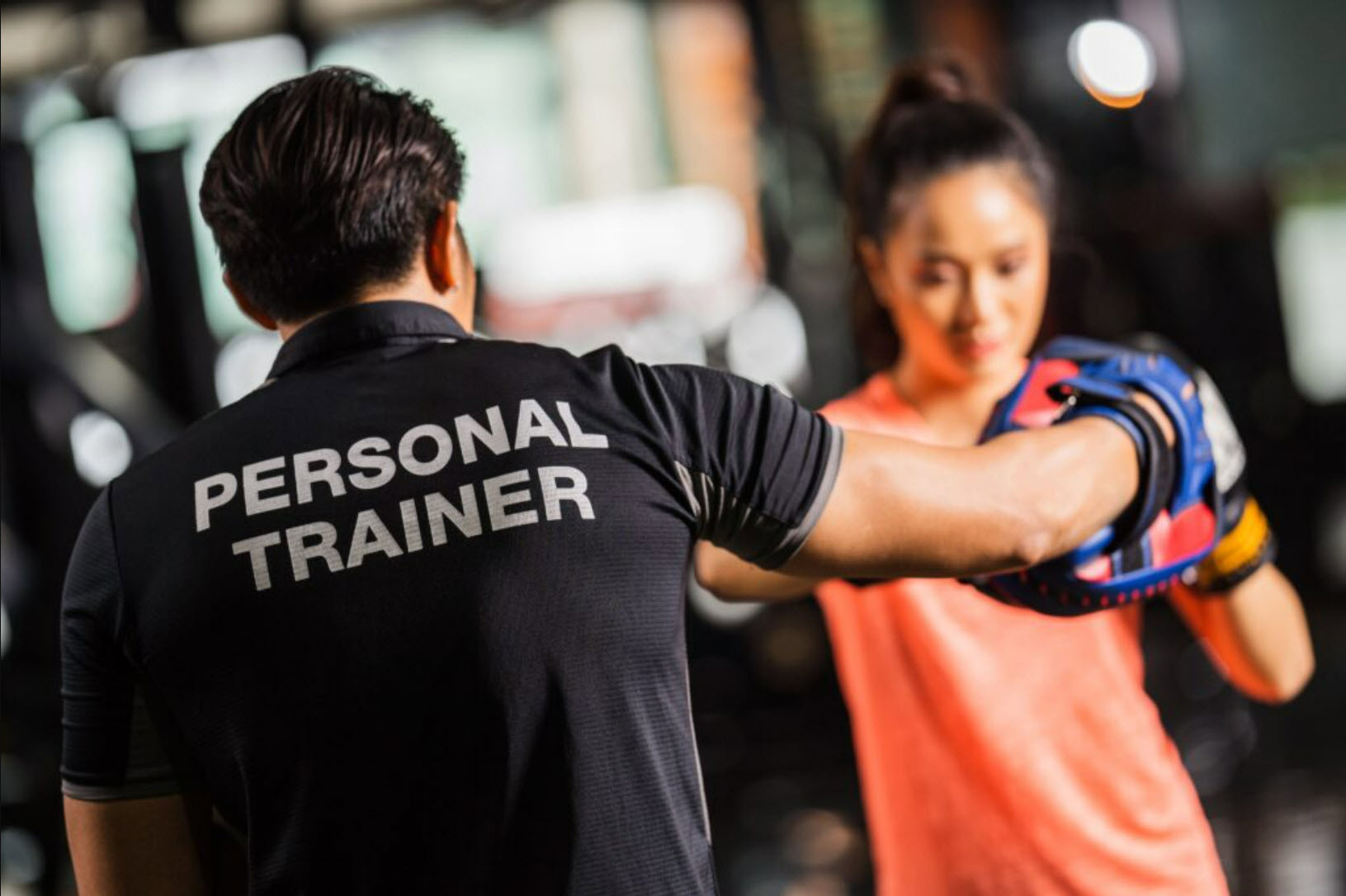 Professional Trainers