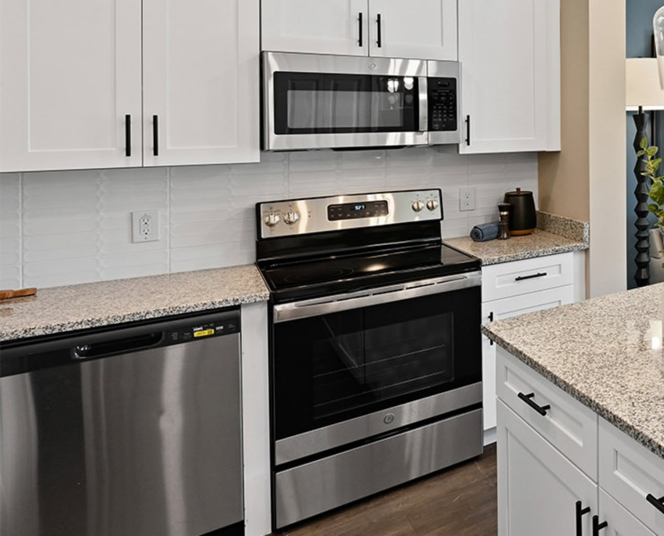 Stainless Steel Appliances
