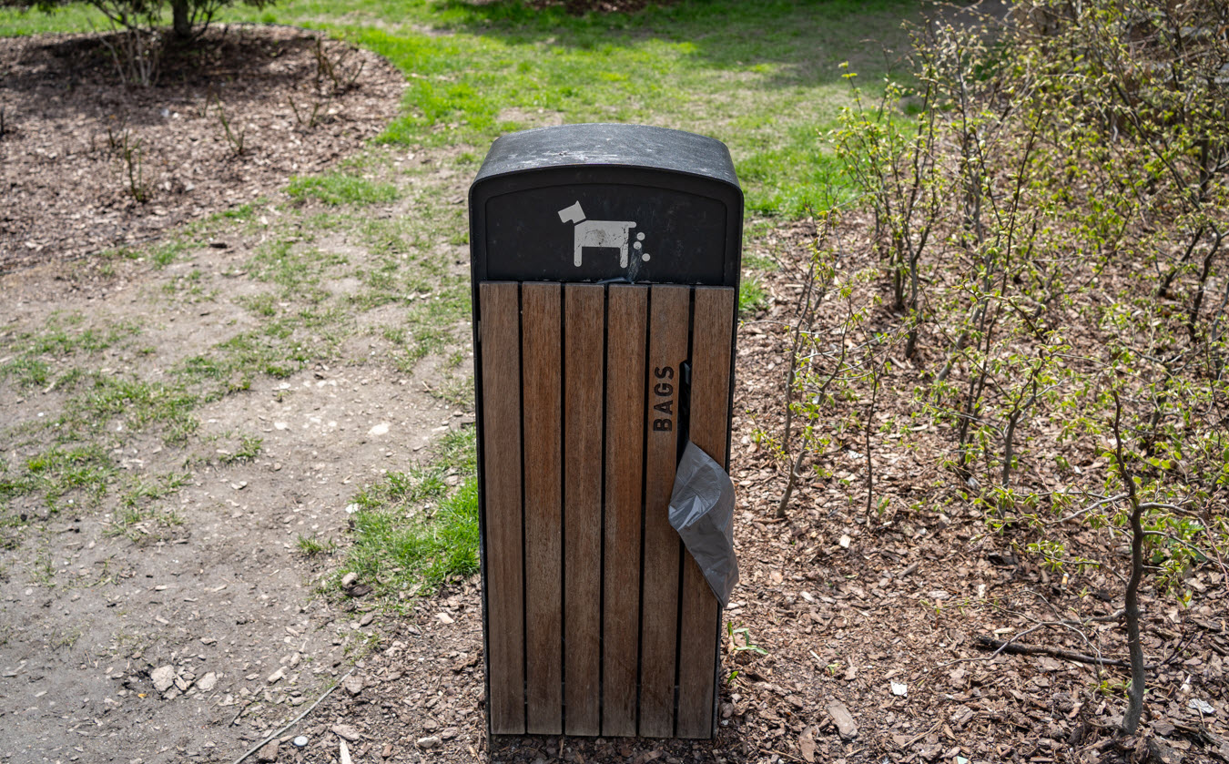 Pet Waste Removal