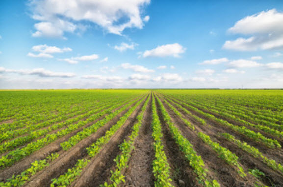 Agricultural