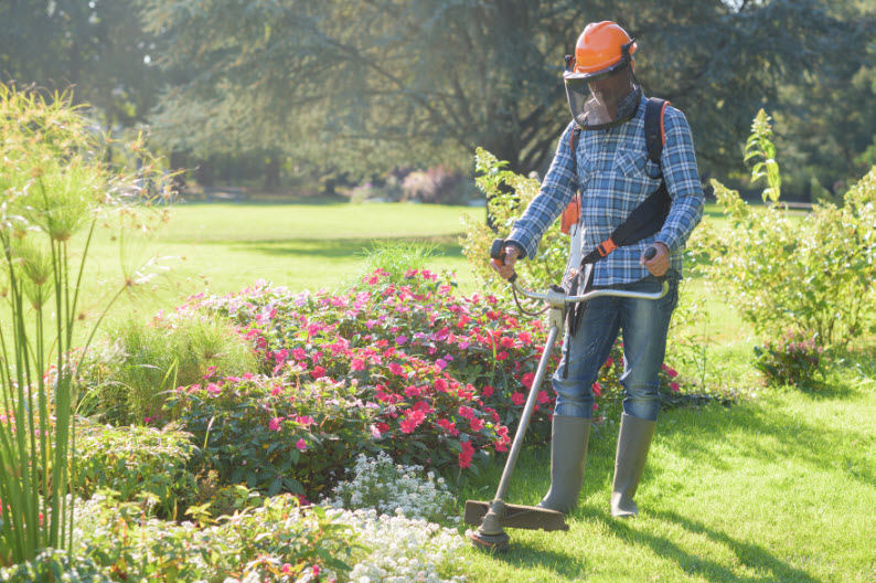 Landscape Maintenance