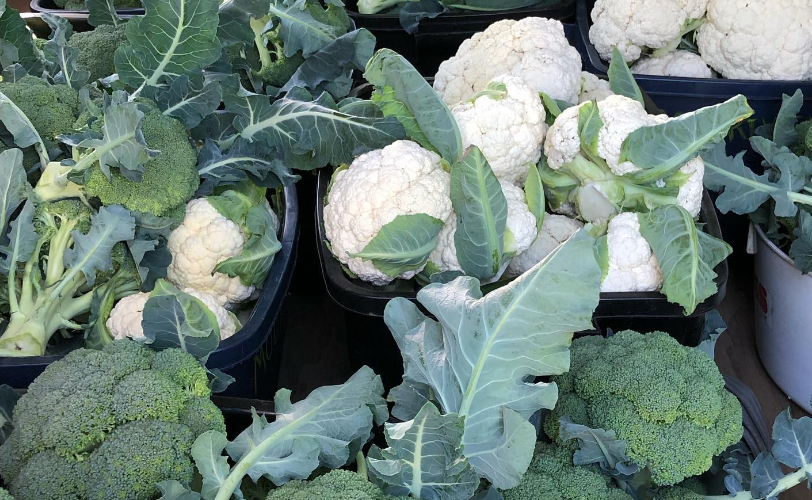 Broccoli