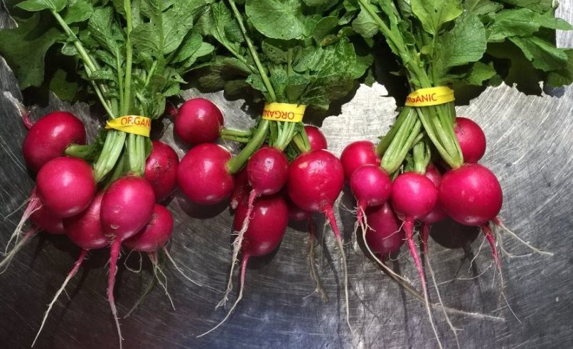 Beets