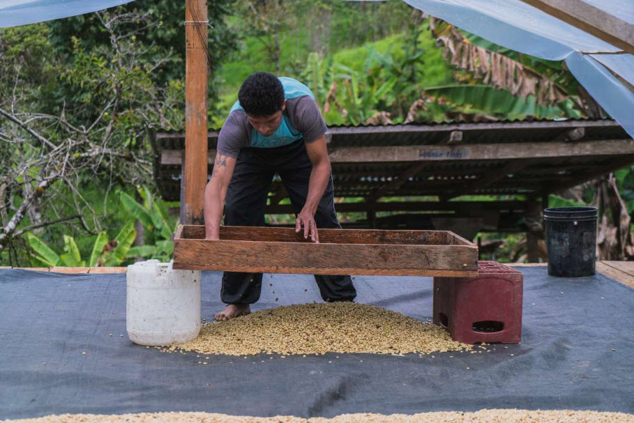 Costa Rica Single Origin