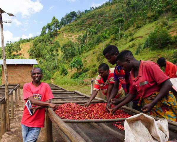 Connecting the World Through Coffee