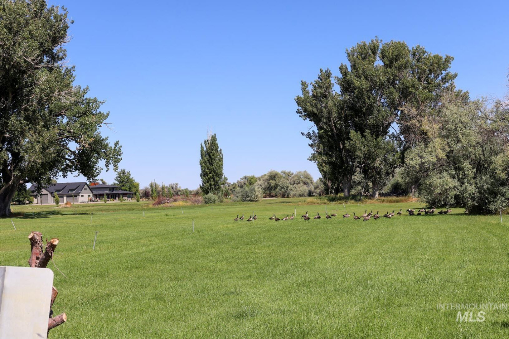 Farm