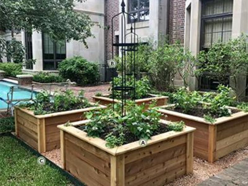4x4 Mini Kitchen Garden
