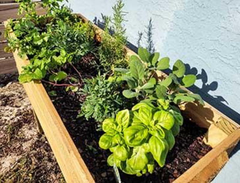Planting Plan Subscription