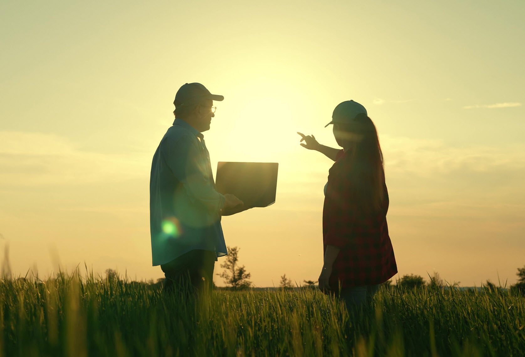 Agricultural Building Solutions