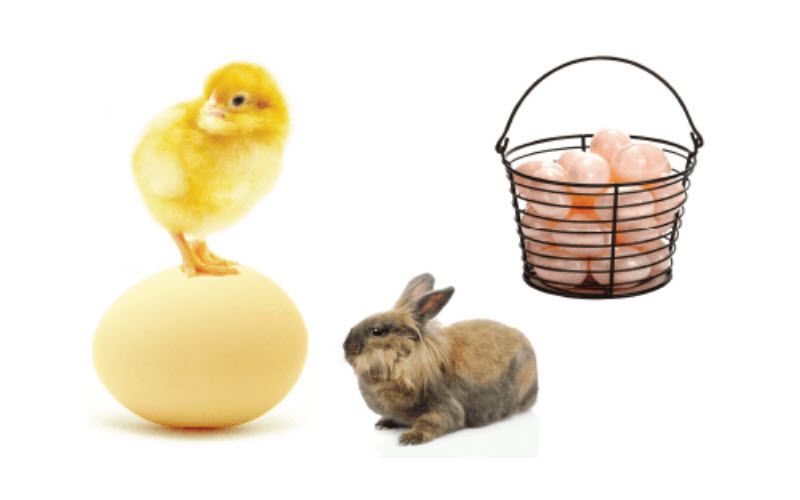 Livestock