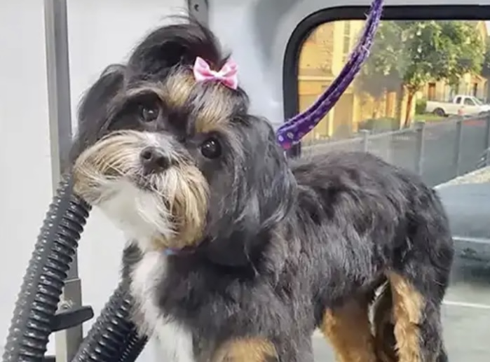 Hairstyling