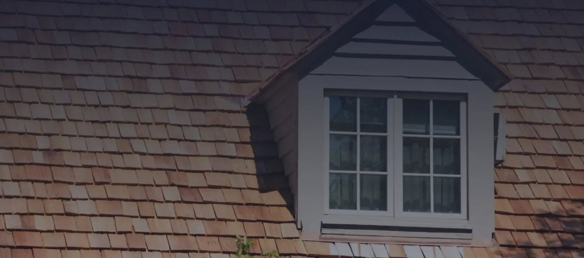 Cedar Roofing Services