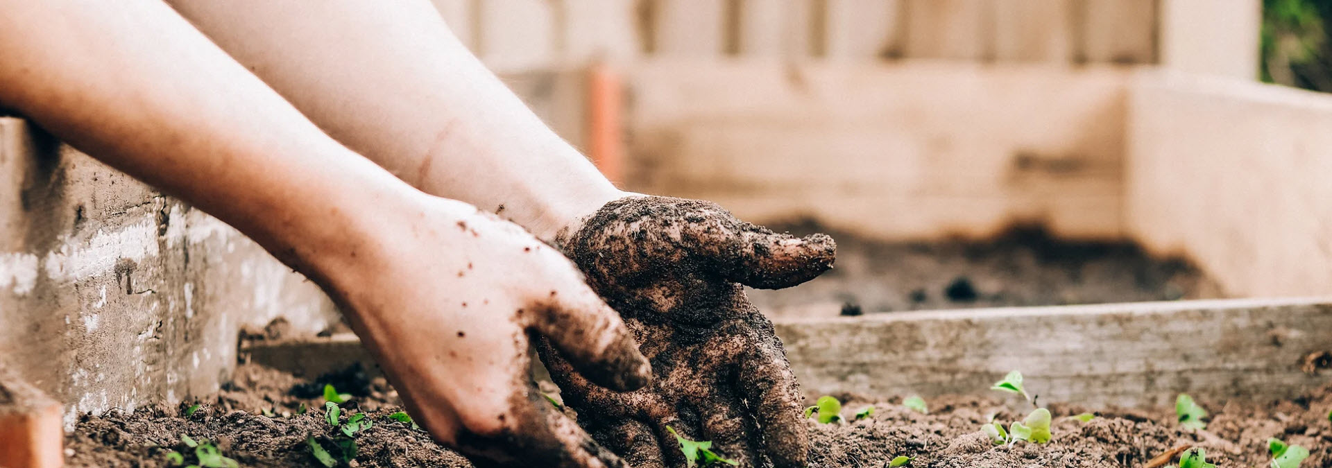 A Harmony with Nature: The Orchard as a Classroom