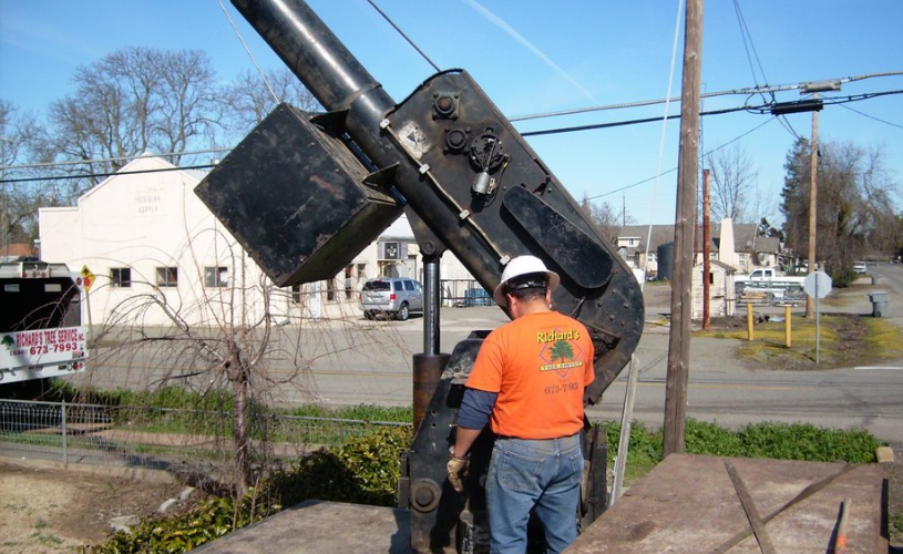 Certified Arborists