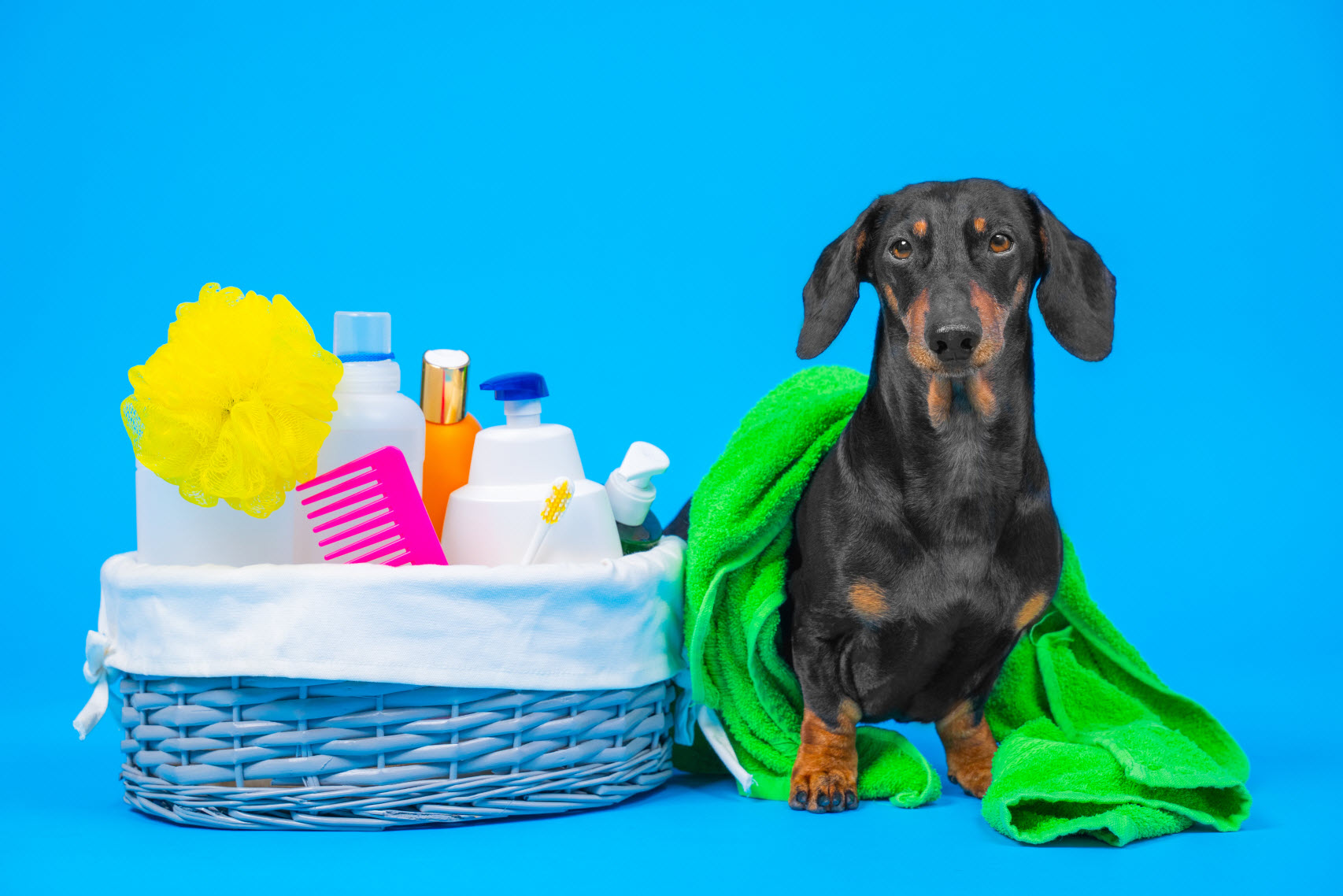 Pet-Friendly Gift Baskets