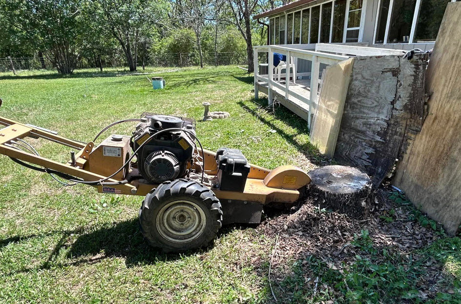 Stump Grinding