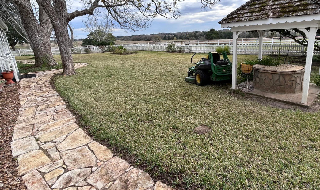 Yard Clean Ups