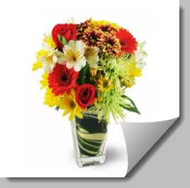 Congratulations Flower