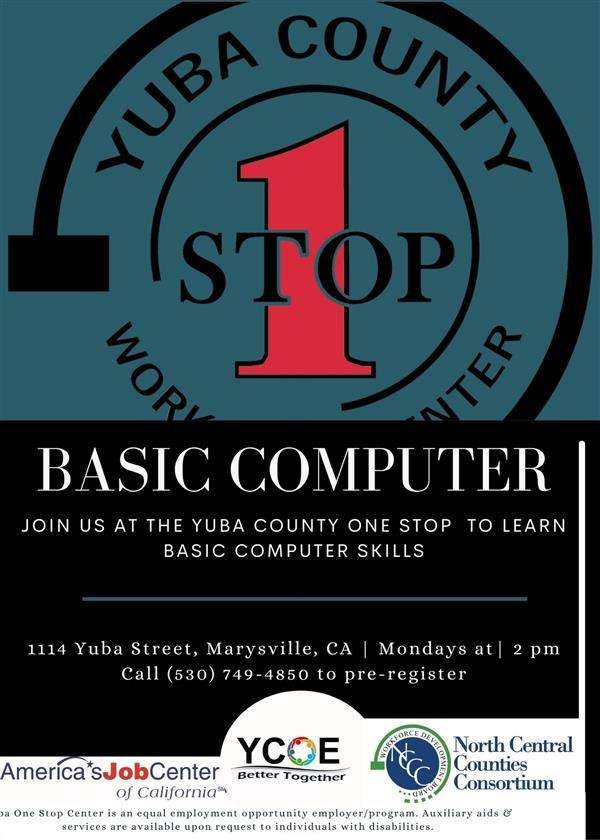Basic Computer Skills