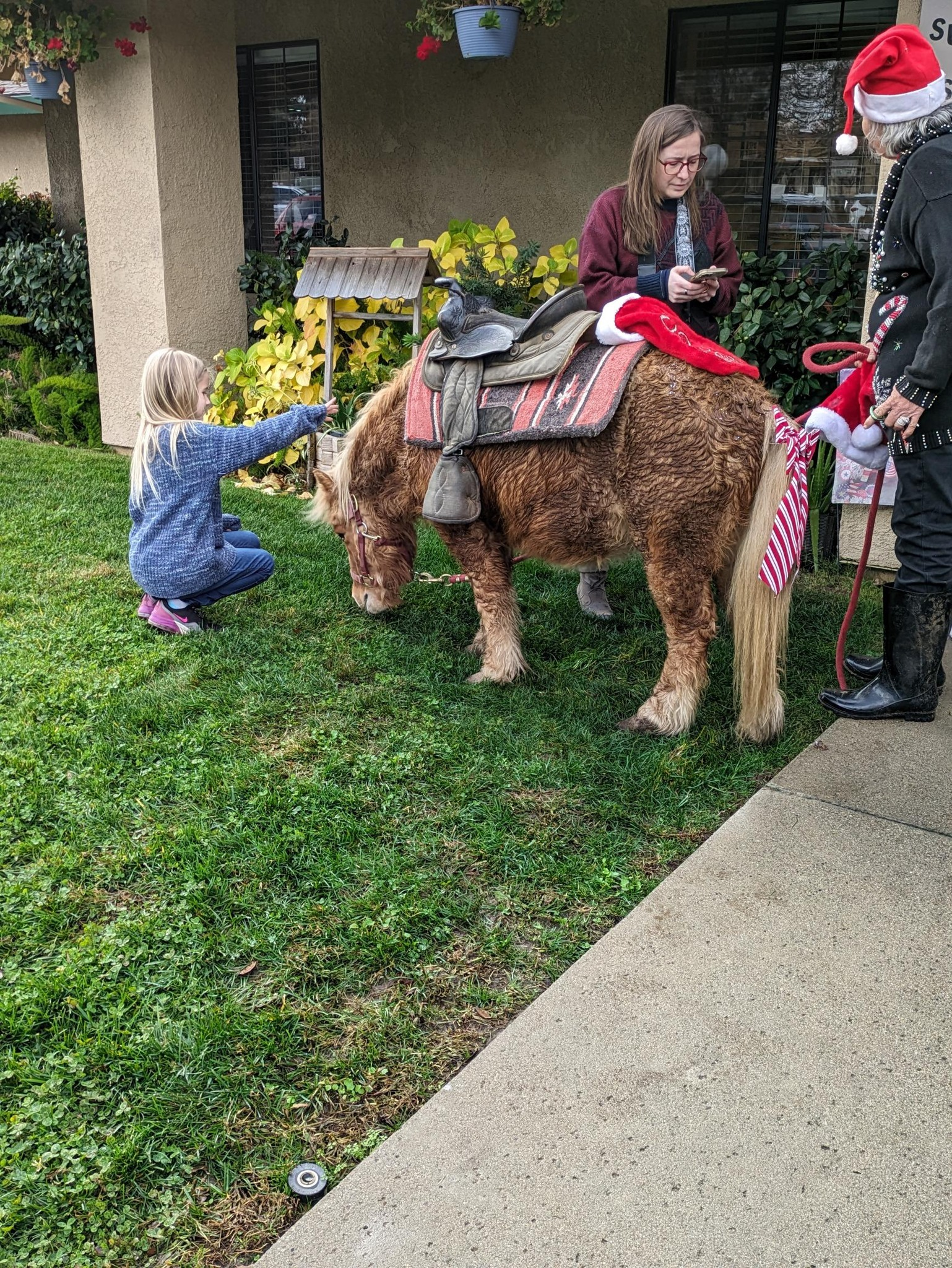 Pet Friendly