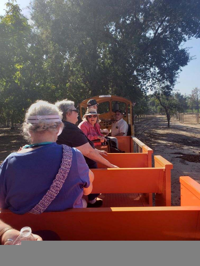 Scheduled Complementary Transportation