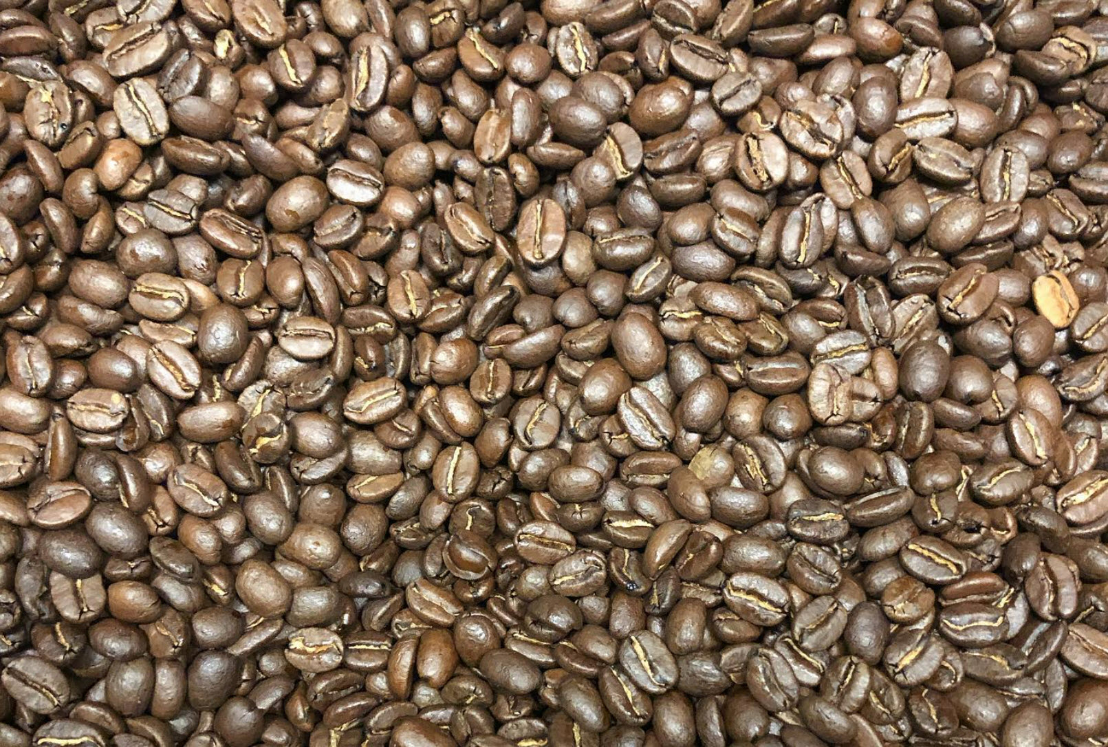 Arabica Beans