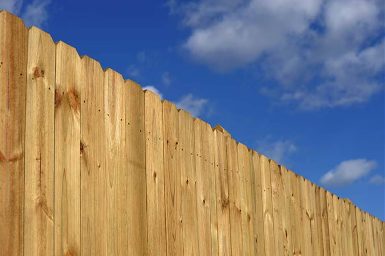 Cedar Fencing