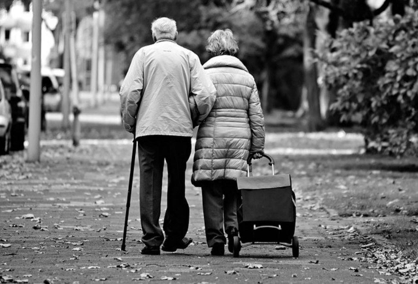 Life Insurance