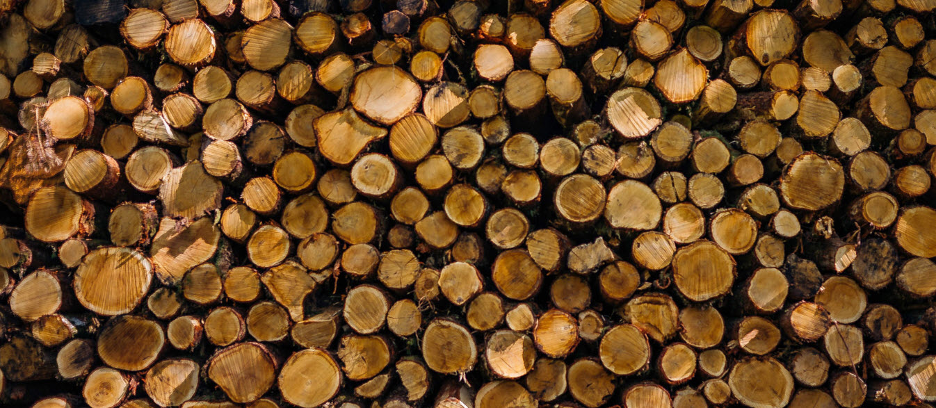 Wood Pile
