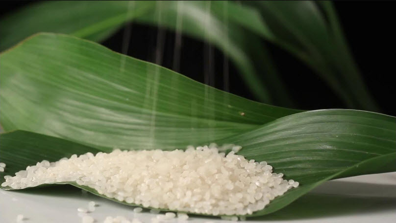 Japanese Rice