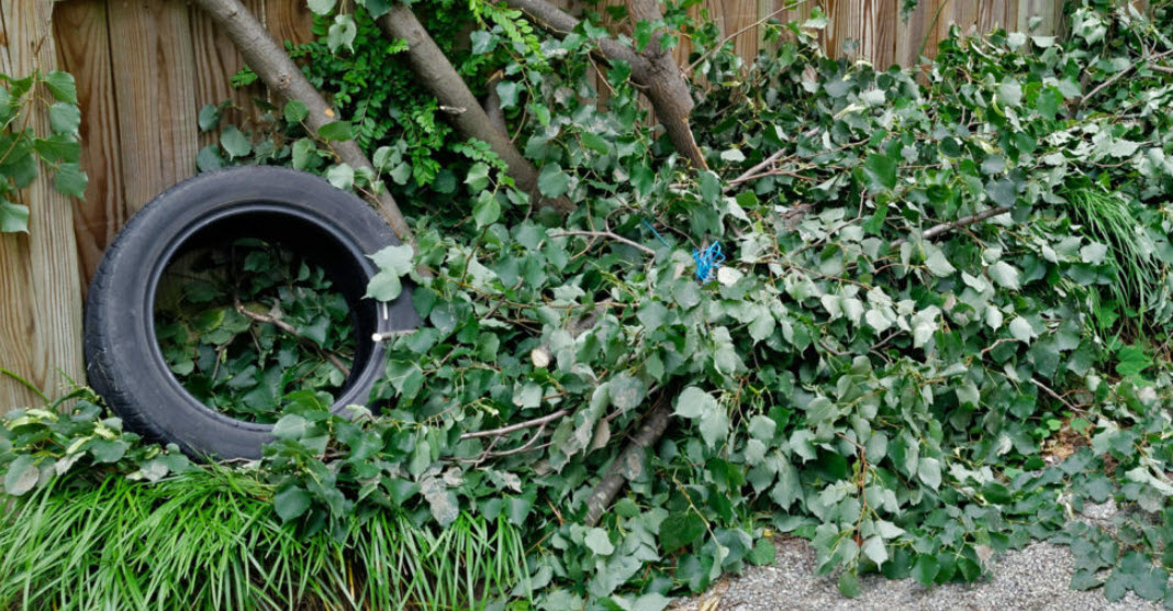 Yard Debris Removal