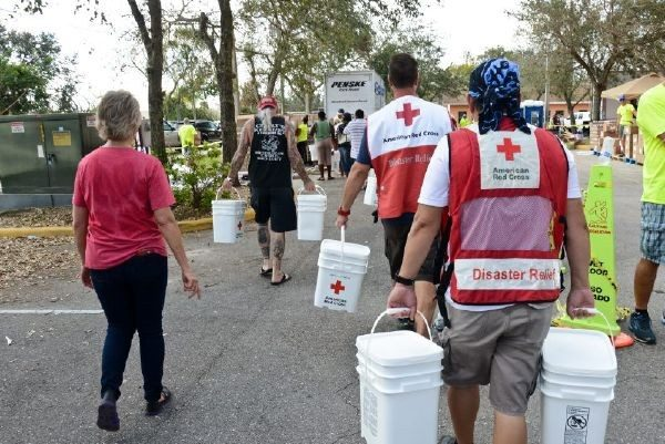Volunteer