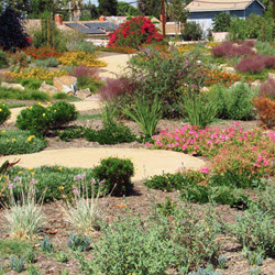 Landscape Workshops 
