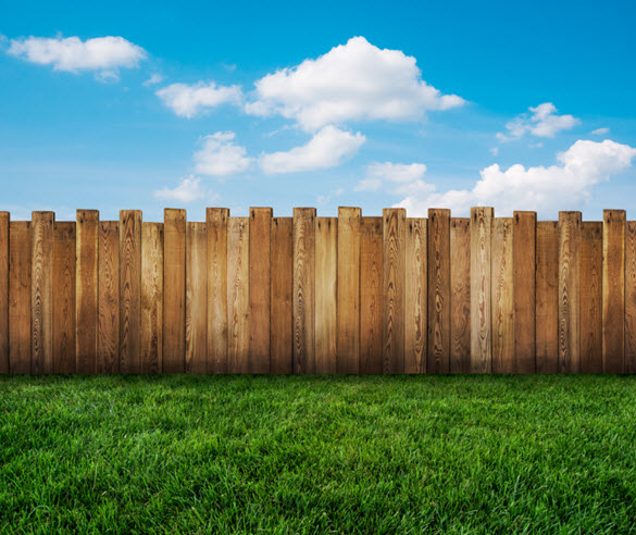 Wood Fence