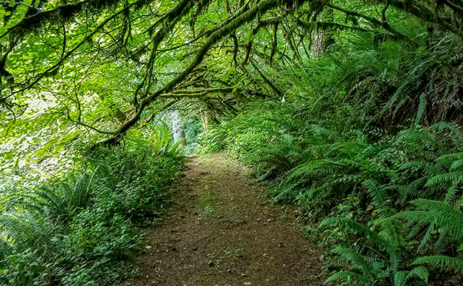 Trails
