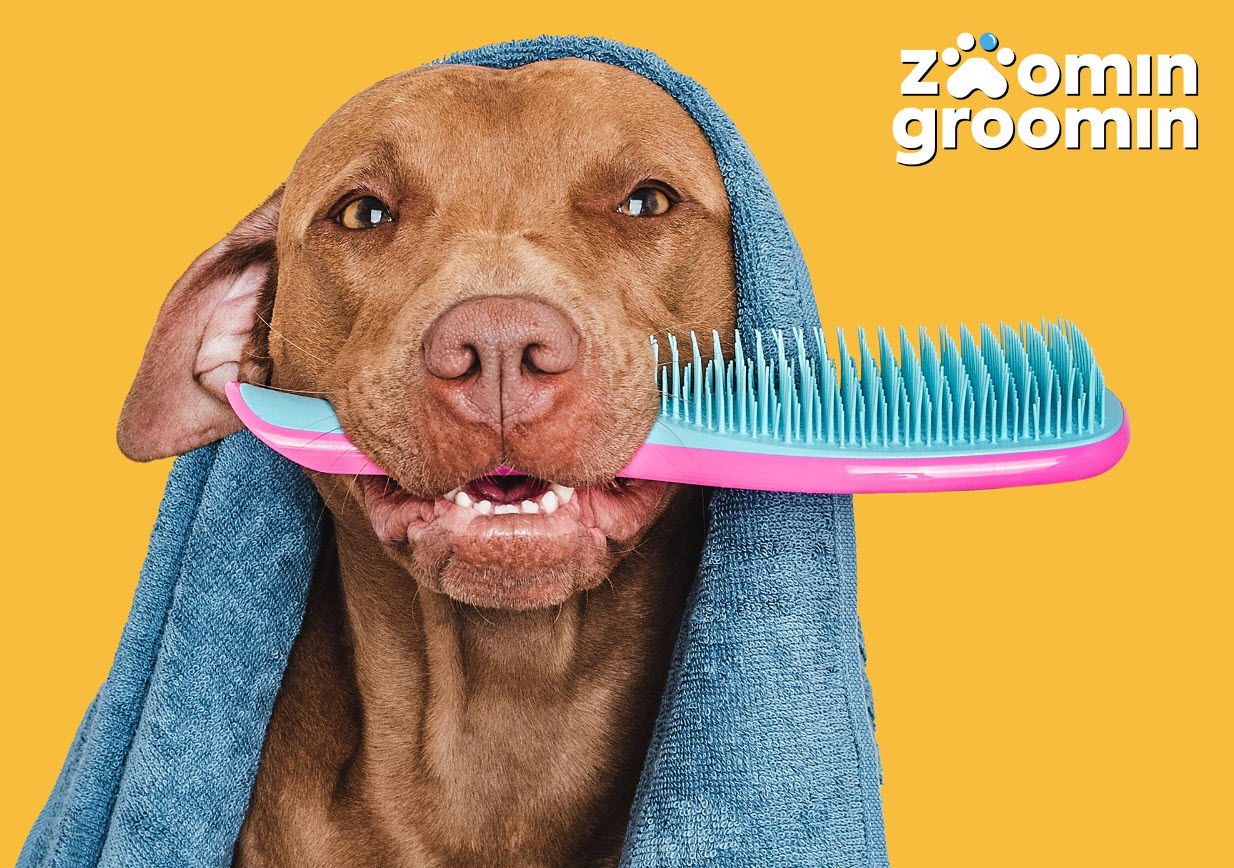 Brushing 