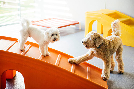 Daycare