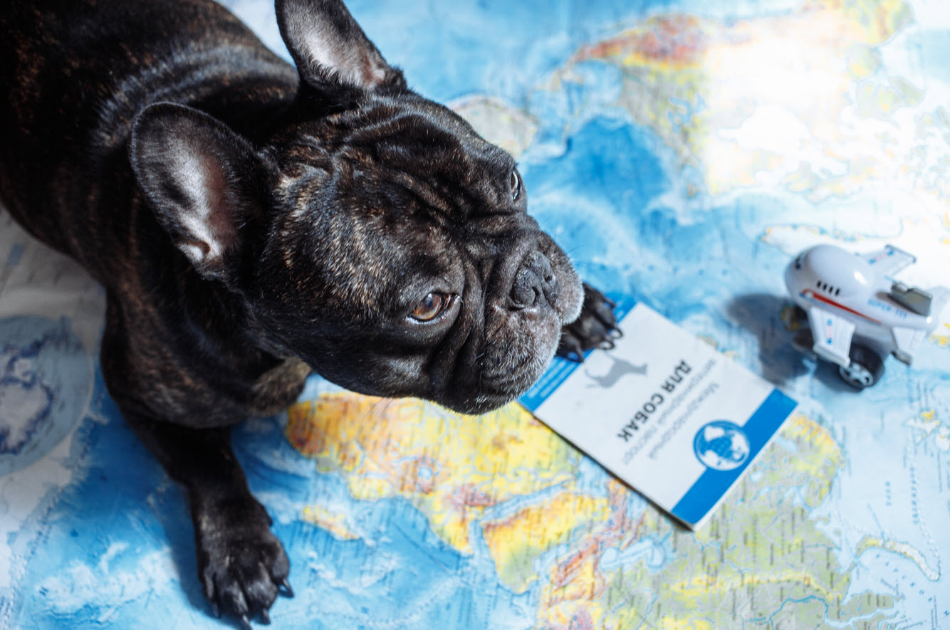 Travel Certificates