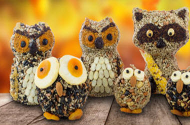 Woodland Characters