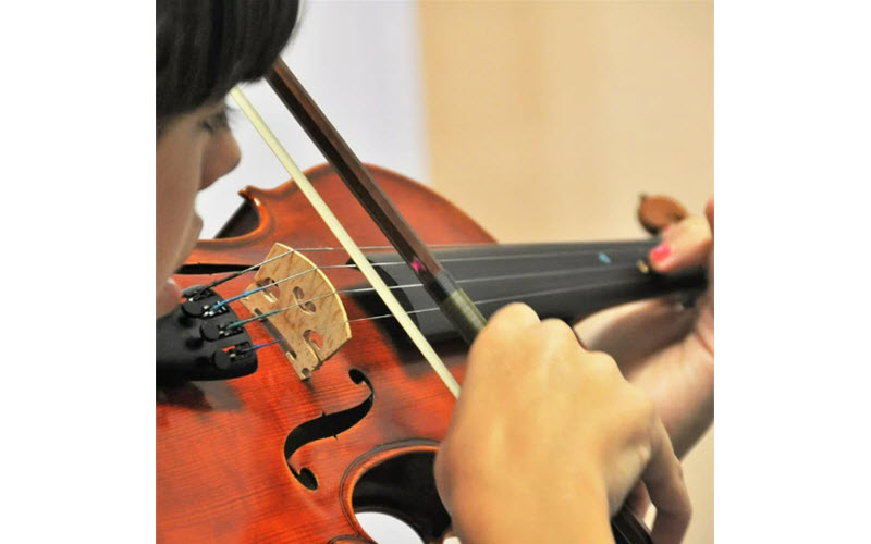 Individual Instrumental (One-On-One) Lesson
