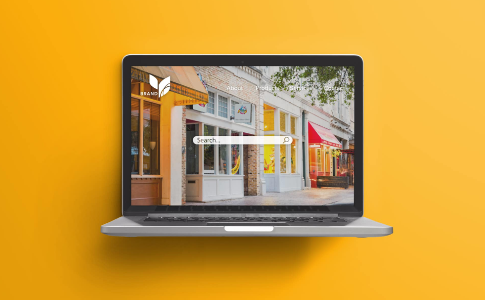 Website Design 