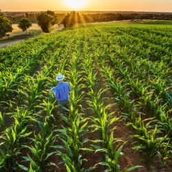 Agribusiness Insurance