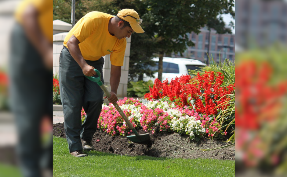 Flower Bed Edging and Redefining Service