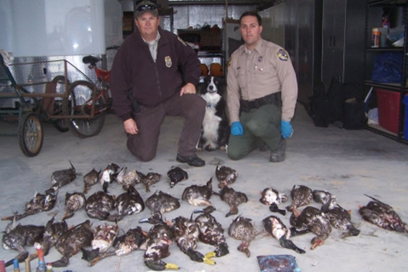 Law Enforcement