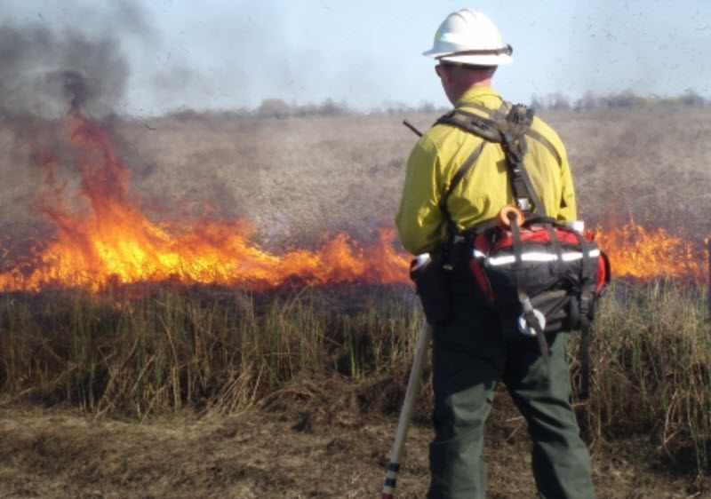 The Fire Crew
