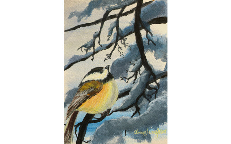Birds