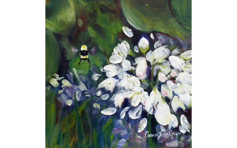 All Fine Art Prints