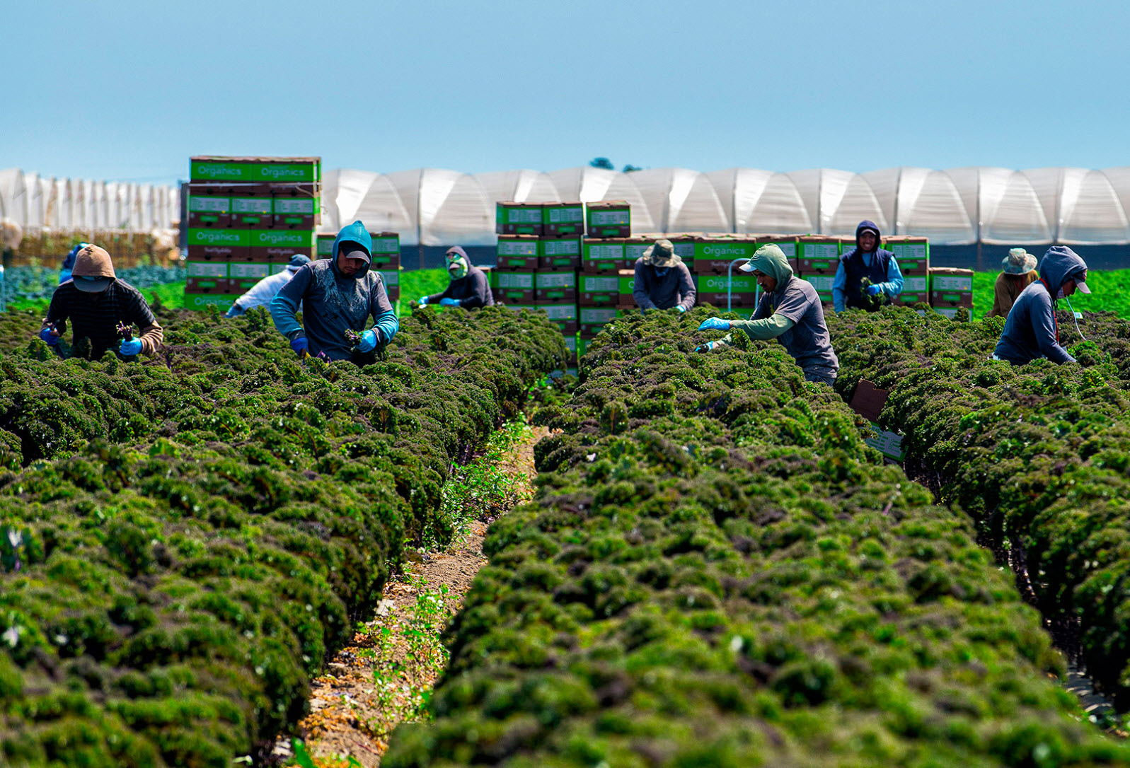 Agricultural Product Handling