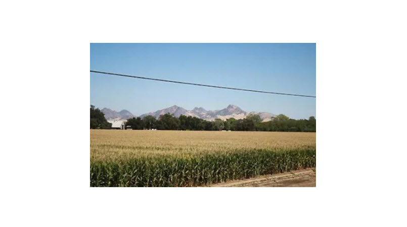 Butte Creek Farms